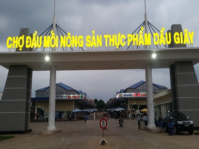 cho dau giay