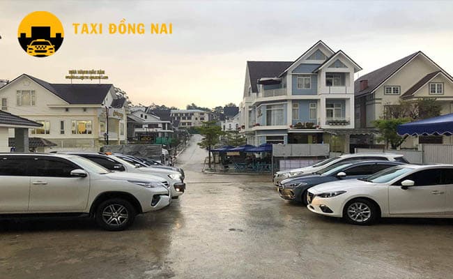 taxi vinh cuu da dang cac dong xe